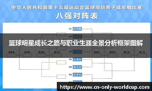 篮球明星成长之路与职业生涯全景分析框架图解